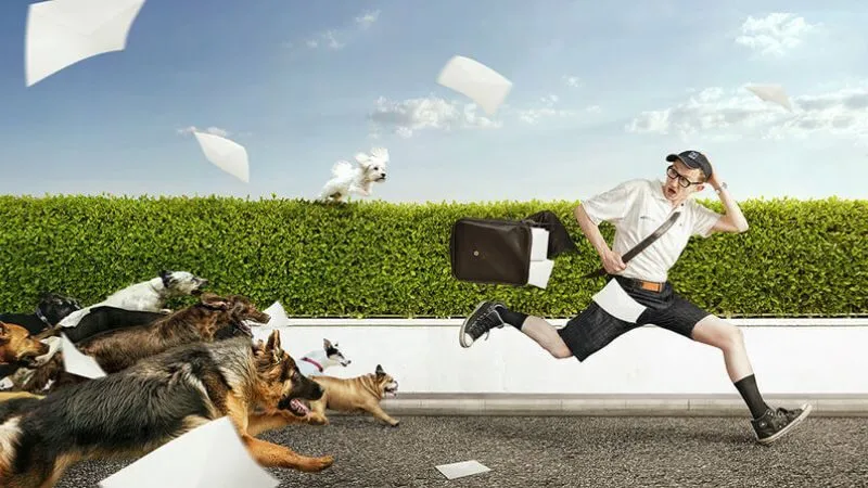 Cách chọn số hiệu quả khi nằm mơ bị chó cắn vào chân